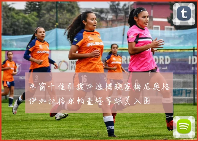 冬窗十佳引援评选揭晓塞梅尼奥格伊加拉格尔帕奎塔等球员入围