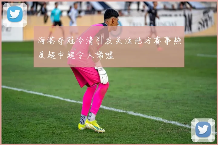 海港夺冠冷清引发关注地方赛事热度超中超令人唏嘘
