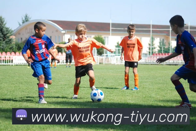 悟空体育品牌故事